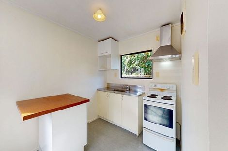 Photo of property in 155 Hanson Street, Newtown, Wellington, 6021