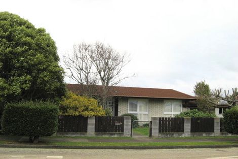 Photo of property in 14 Cardiff Street, Levin, 5510