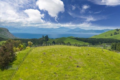 Photo of property in 29 Grant Road, Kinloch, Taupo, 3385