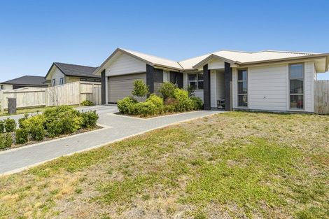 Photo of property in 42 Harding Drive, Papamoa Beach, Papamoa, 3118