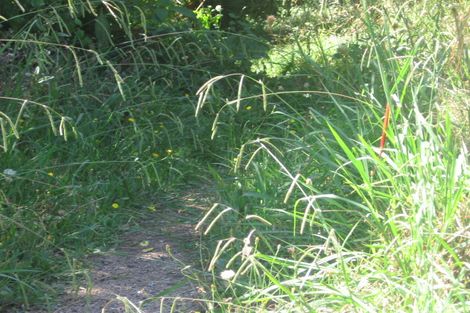 Photo of property in 25 Garratt Road, Waiheke Island, 1971