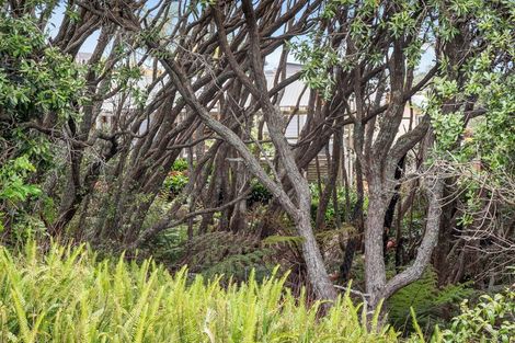 Photo of property in 38 Pacific Parade, Army Bay, Whangaparaoa, 0930