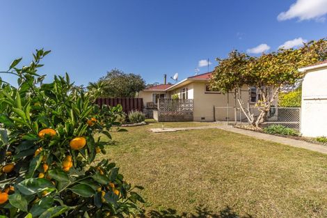 Photo of property in 32 Margaret Avenue, Havelock North, 4130