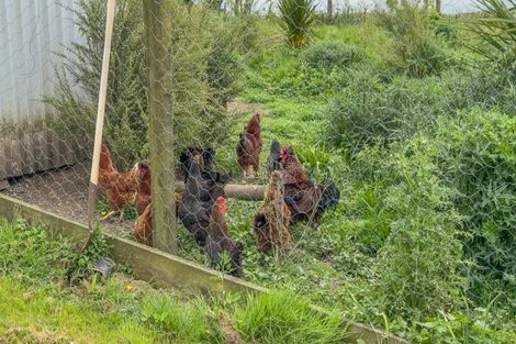 Photo of property in 241 Finlayson Road, Kopuku, Pokeno, 2471