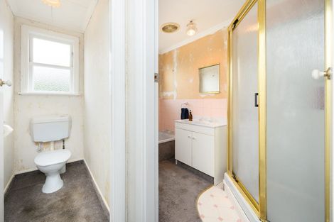 Photo of property in 42 Ihle Street, Terrace End, Palmerston North, 4410