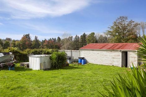 Photo of property in 8 Nikau Street, Wairakei, Taupo, 3332