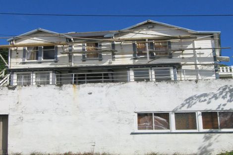 Photo of property in 20 Buller Street, Te Aro, Wellington, 6011