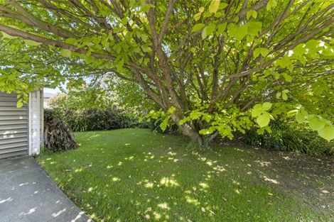 Photo of property in 12 Chester Crescent, West End, Palmerston North, 4410