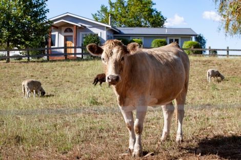 Photo of property in 98 Carmichael Road, Okoroire, Tirau, 3485