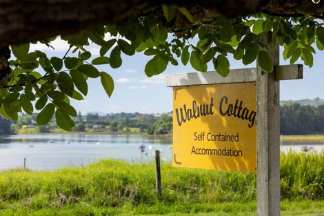 Photo of property in 309 Plummers Point Road, Whakamarama, Tauranga, 3172