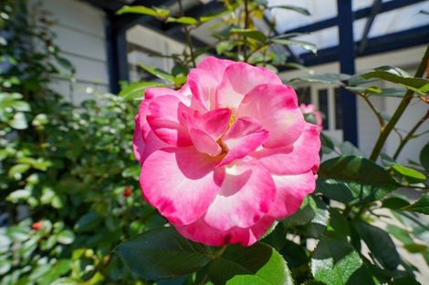 Photo of property in 40 Beatrice Street, Avenal, Invercargill, 9810