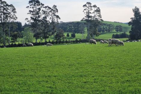 Photo of property in 1446a Clydevale Road, Clydevale, 9274