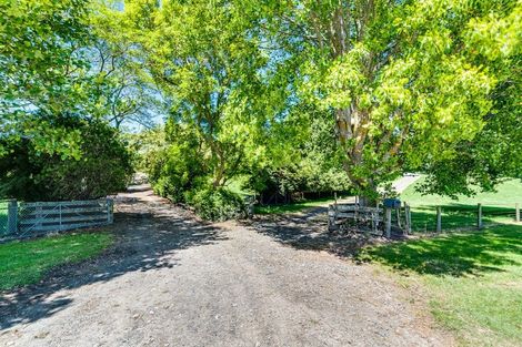 Photo of property in 25 Kakariki Farm Road, Kotemaori, 4188