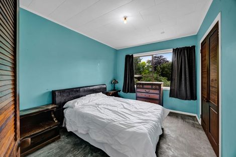 Photo of property in 19 Tybalt Street, Stratford, 4332