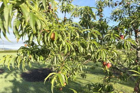 Photo of property in 67 Worsnop Road, Ruatangata West, Whangarei, 0176