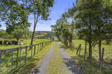 Photo of property in 1313 Whangaripo Valley Road, Whangaripo, Wellsford, 0972