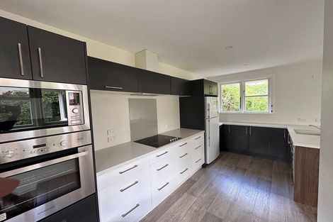 Photo of property in 15 Pollock Street, Maori Hill, Dunedin, 9010