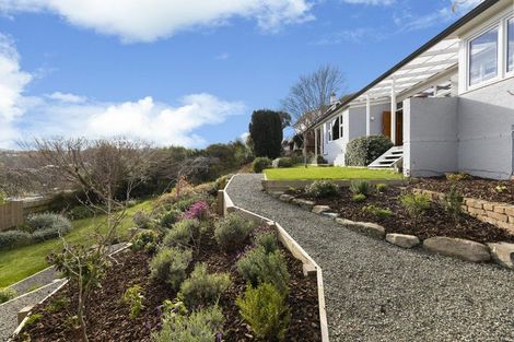 Photo of property in 17 Jeffery Street, Andersons Bay, Dunedin, 9013