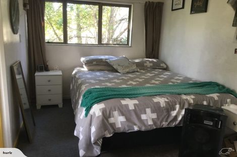 Photo of property in 113a Williamson Road, Whangamata, 3620