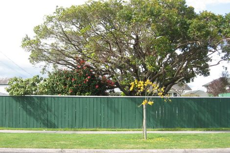 Photo of property in 33 Tui Street, Taupo, 3330