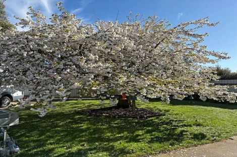 Photo of property in 83 Whiterocks Road, Deborah, Oamaru, 9492