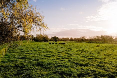 Photo of property in 98 Tamahere Drive, Tamahere, Hamilton, 3283