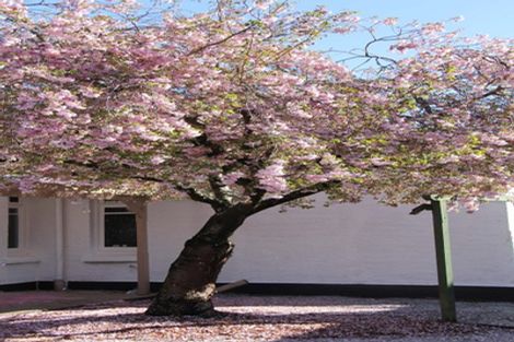 Photo of property in 15 Rodney Street, Georgetown, Invercargill, 9812