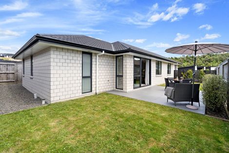 Photo of property in 110 Whakaturou Crescent, Pyes Pa, Tauranga, 3112