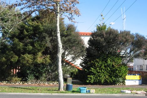 Photo of property in 79e Firth Street, Hamilton East, Hamilton, 3216