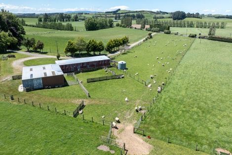 Photo of property in 23 Waikaka Valley Highway, Willowbank, Gore, 9771