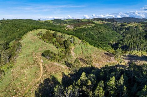 Photo of property in 225 Rocky Cutting Road, Waitao, Tauranga, 3175
