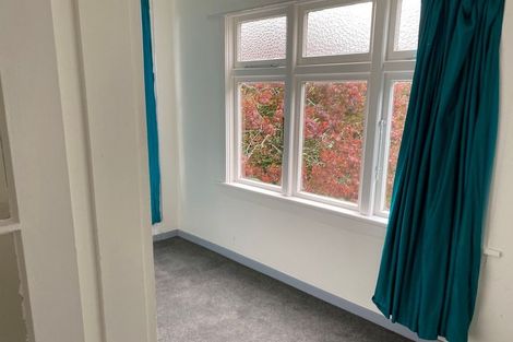 Photo of property in 41a Garfield Avenue, Roslyn, Dunedin, 9010