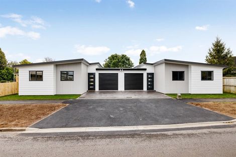 Photo of property in 2/1 Williams Place, Fairfield, Hamilton, 3214