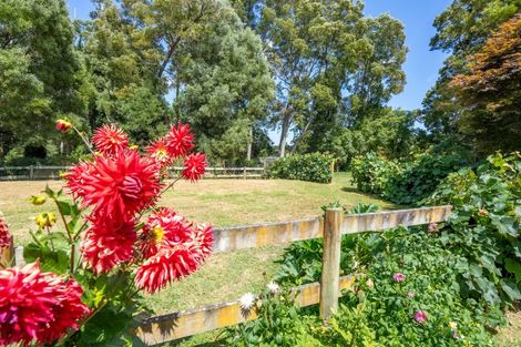 Photo of property in 10 Pencarrow Road, Tamahere, Hamilton, 3283