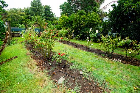 Photo of property in 23 Walsh Street, Mangapapa, Gisborne, 4010