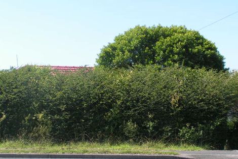 Photo of property in 115 Forrest Hill Road, Forrest Hill, Auckland, 0620