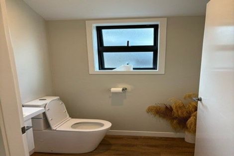 Photo of property in 87 Otaihanga Road, Otaihanga, Paraparaumu, 5036