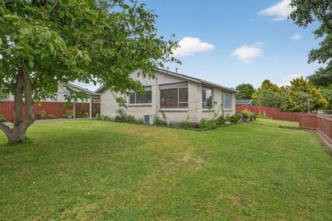 Photo of property in 19 Stillwater Place, Westbrook, Palmerston North, 4412