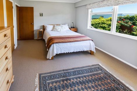 Photo of property in 19 Tregarth Street, Saint Johns Hill, Whanganui, 4501