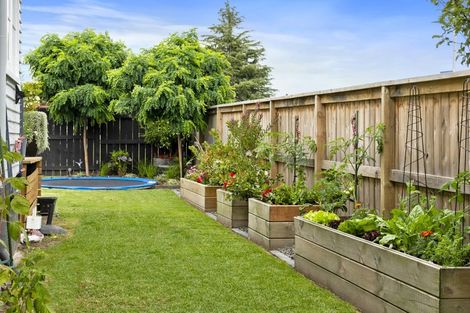 Photo of property in 79a Pooles Road, Greerton, Tauranga, 3112