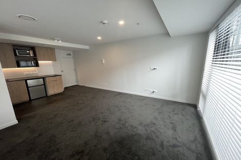 Photo of property in Pinnacle Apartments, W303/160 Victoria Street, Te Aro, Wellington, 6011