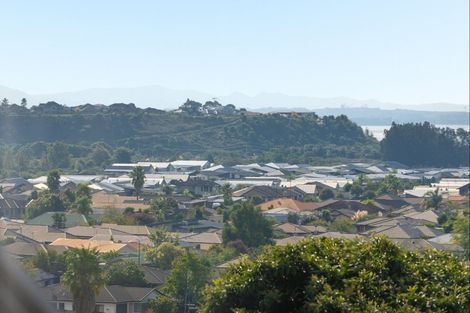 Photo of property in 338a Waihi Road, Judea, Tauranga, 3110