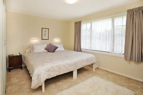 Photo of property in 60 Inglewood Road, Hawthorndale, Invercargill, 9810