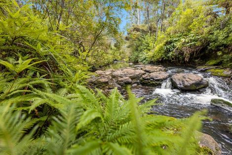 Photo of property in 79 Riverstream Drive, Waipapa, Kerikeri, 0295