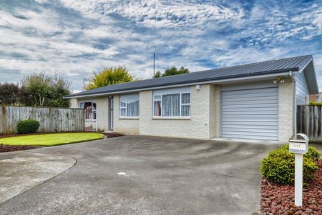 Photo of property in 117 Avondale Road, Greenmeadows, Napier, 4112