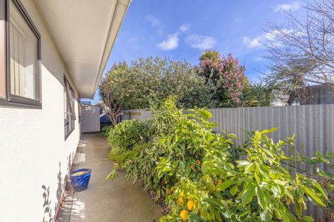 Photo of property in 97a Harrison Street, Whanganui, 4500