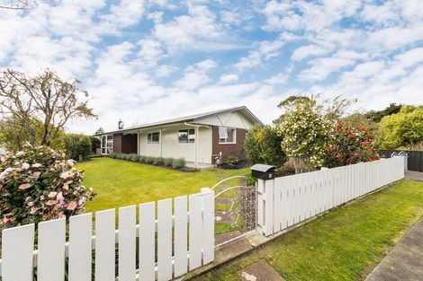 Photo of property in 14 Ferndale Place, Feilding, 4702