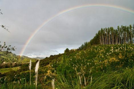 Photo of property in 1870 The 309 Road, Kaimarama, Whitianga, 3591
