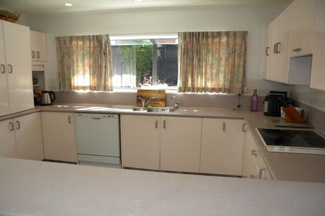 Photo of property in 119 Mountain View Drive, Te Awamutu, 3800