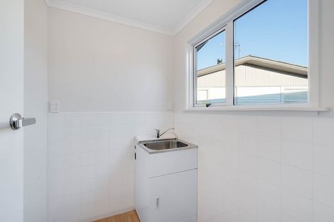 Photo of property in 60 Fitzroy Avenue, Fitzroy, Hamilton, 3206